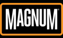 Magnum Valiance Leather Boots